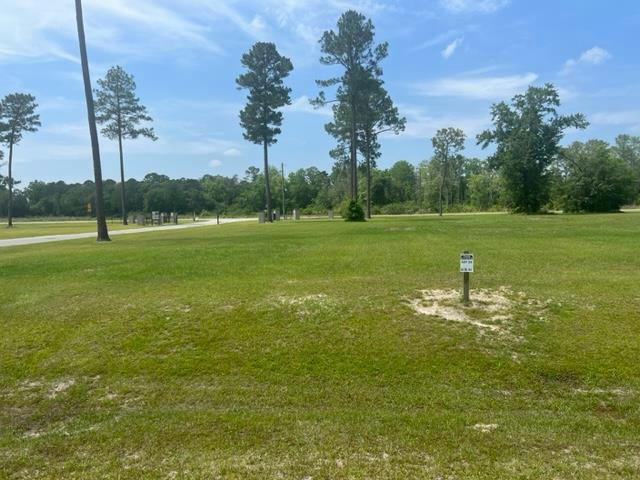 LOT #24 EMERALD DRIVE, WILLACOOCHEE, GA 31650, photo 1 of 5